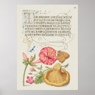 Poster Scène de jardin avec fleurs, papillon et champigno