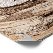 Poster Scène de la plage de Driftwood (Coin)