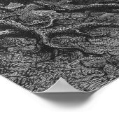 Poster Scène de "Le Rime de l'Ancien Marinier" 2 (Coin)