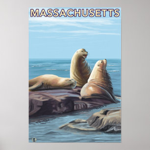 Poster Scène de lions de MassachusettsSea