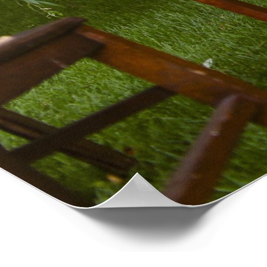 Poster Scène de Mariage extérieur (Coin)