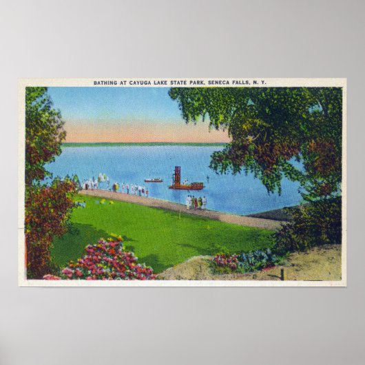 Poster Scène de natation au Parc d'État du lac Cayuga (Devant)