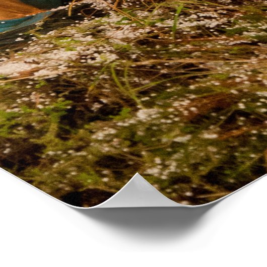 Poster Scène de Nativity (Coin)