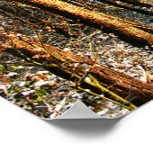 Poster Scène de neige de la forêt wapcnm (Coin)