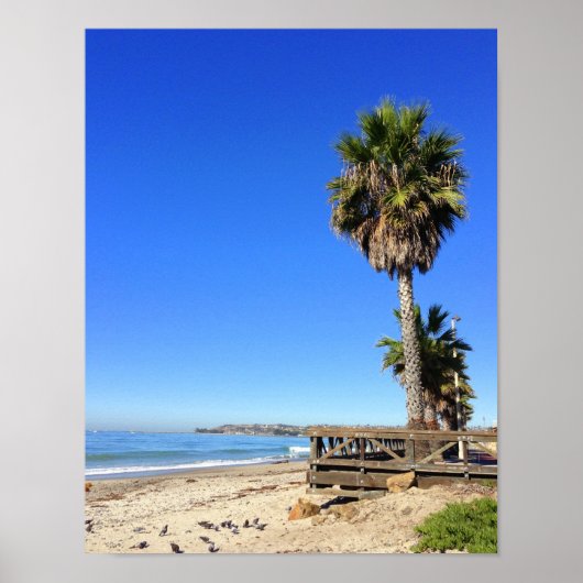 Poster Scène De Plage Tropicale (Devant)