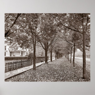 Poster Scène de rue en automne, 1899. Photo vintage