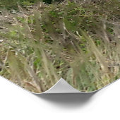 Poster Scène de Stormy Beach (Coin)