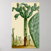 Poster Scène des cactus du désert (Devant)