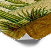 Poster Scène des cactus du désert (Coin)