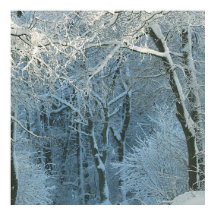 Scène d'hiver Wonderland Snowy Arrière - plan