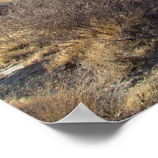 Poster Scène du désert de Mojave 05 (Coin)