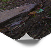 Poster Scène du lac des Appalaches (Coin)