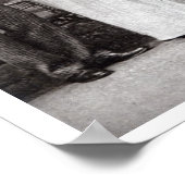 Poster Scène d'une performance de l'importance du Bein (Coin)