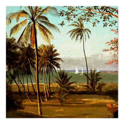 Poster Scène en Floride par Albert Bierstadt (Devant)