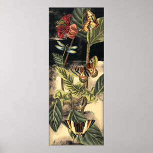 Poster Scène foncée de nature par le studio de vision