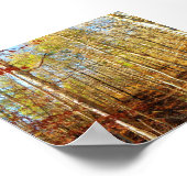 POSTER SCÈNE FORESTIÈRE (Coin)