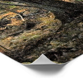 Poster Scène forestière d'automne (Coin)