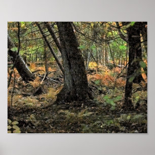 Poster Scène forestière d'automne
