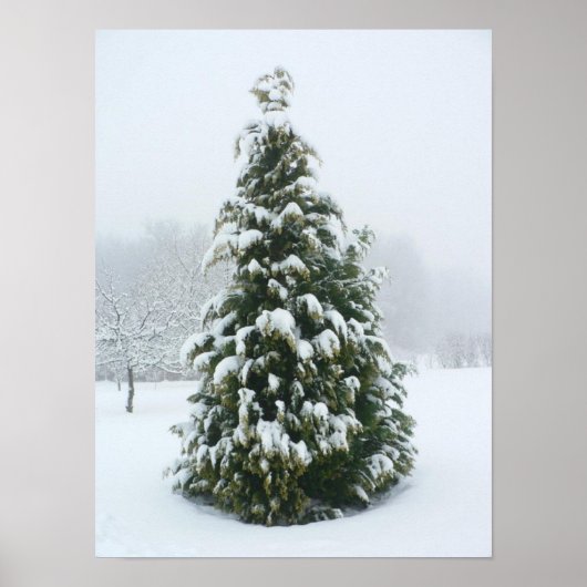 Poster Scène hivernale de l'affiche (Devant)