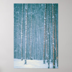 Poster Scène hivernale enneigée parmi