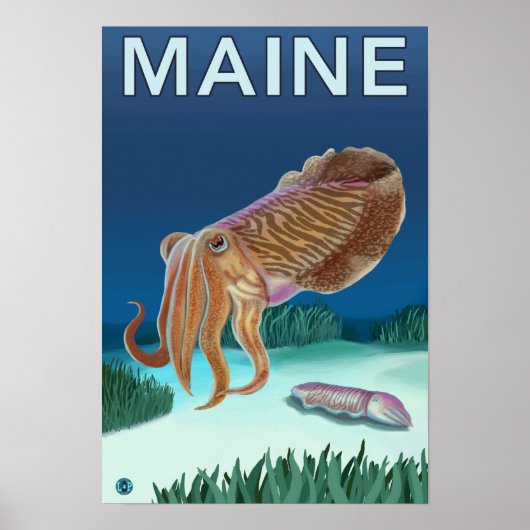 Poster Scène MaineCuttlefish (Devant)