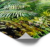 Poster Scène nord - Forêt dans l'ouest de l'Australie (Coin)