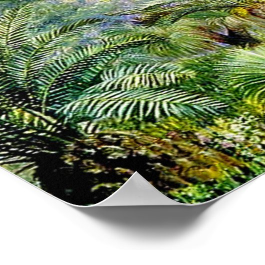 Poster Scène nord - Forêt dans l'ouest de l'Australie (Coin)