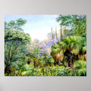 Poster Scène nord - Forêt dans l'ouest de l'Australie