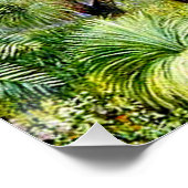 Poster Scène nord - Forêt en Australie occidentale, vinta (Coin)