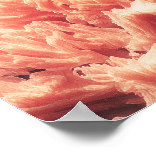 Poster Scène Océanique Surréelle Avec Baleines Et Corail (Coin)