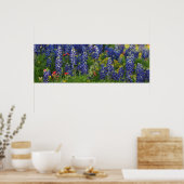 Poster Scène panoramique Bluebonnet (Cuisine)