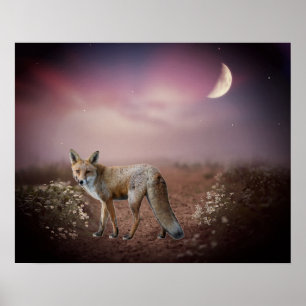 Poster Scène Renard Dream Moonlight 