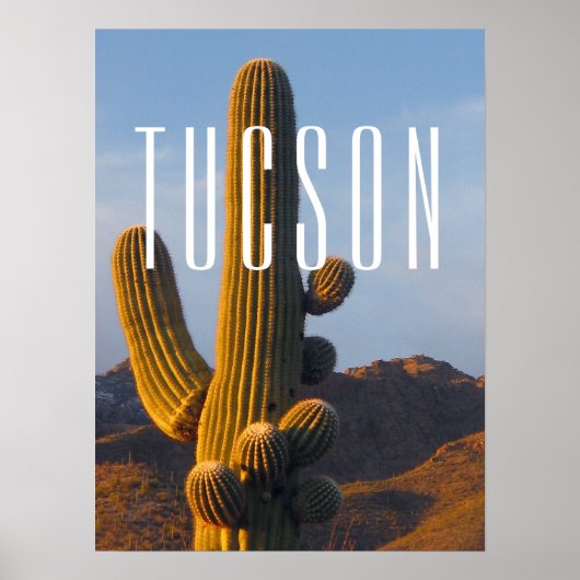 Poster Scène Sunlit Saguaro Tucson (Devant)