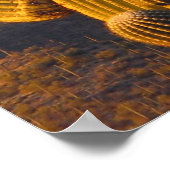 Poster Scène Sunlit Saguaro Tucson (Coin)