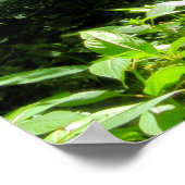 Poster Scène Woodland (Coin)