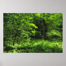 Scène Woodland