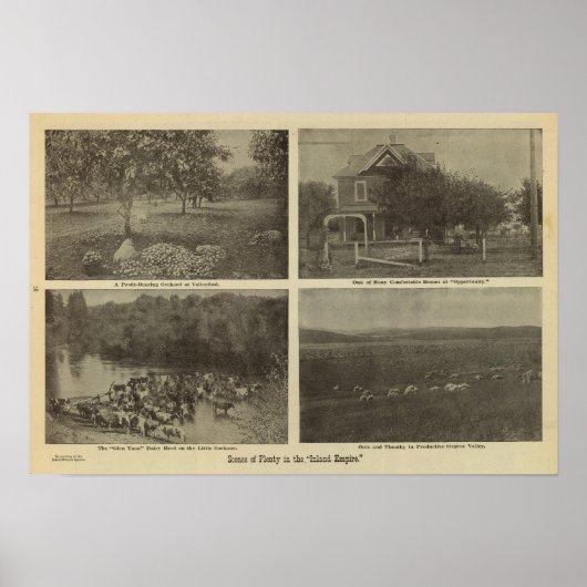 Poster Scènes dans l'Empire terrestre (Devant)