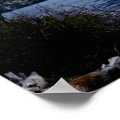 Poster Scènes du parc national des Glaciers (Coin)