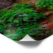 Poster Scenic Nature Fantasy (Coin)