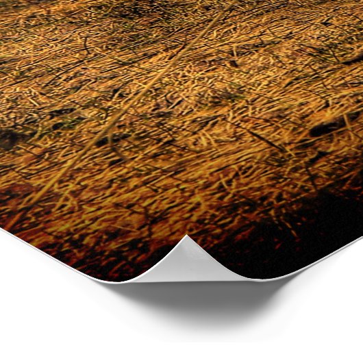 Poster Scenic Rustic Fence in the Country artwork (Coin)