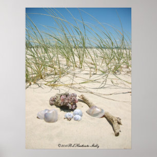 Poster schalen