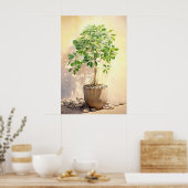 Poster Schefflera Heptaphylla en Pot (Cuisine)