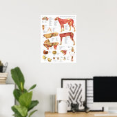 Poster Schéma de l'anatomie interne des muscles du chien (Bureau à domicile)