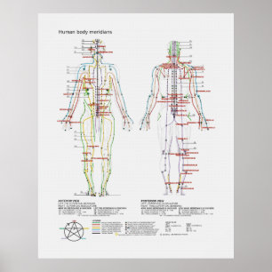 Poster Schéma des méridiens chinois ou humains du corps