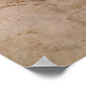 Poster Schéma du plafond de la chapelle Sixtine, c.1508 (Coin)