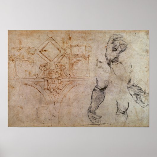 Poster Schéma du plafond de la chapelle Sixtine, c.1508 (Devant)