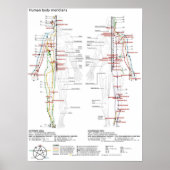 Poster Schematische Chinese Meridians (Voorkant)