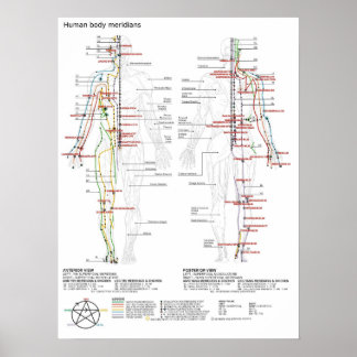 Poster Schematische Chinese Meridians Musculatuur 
