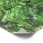 Poster Schiele - Krumau (Eglise St Veit Avec Maisons) 191 (Coin)