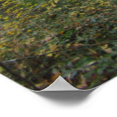 Poster Schild Naturschutzgebiet (Coin)